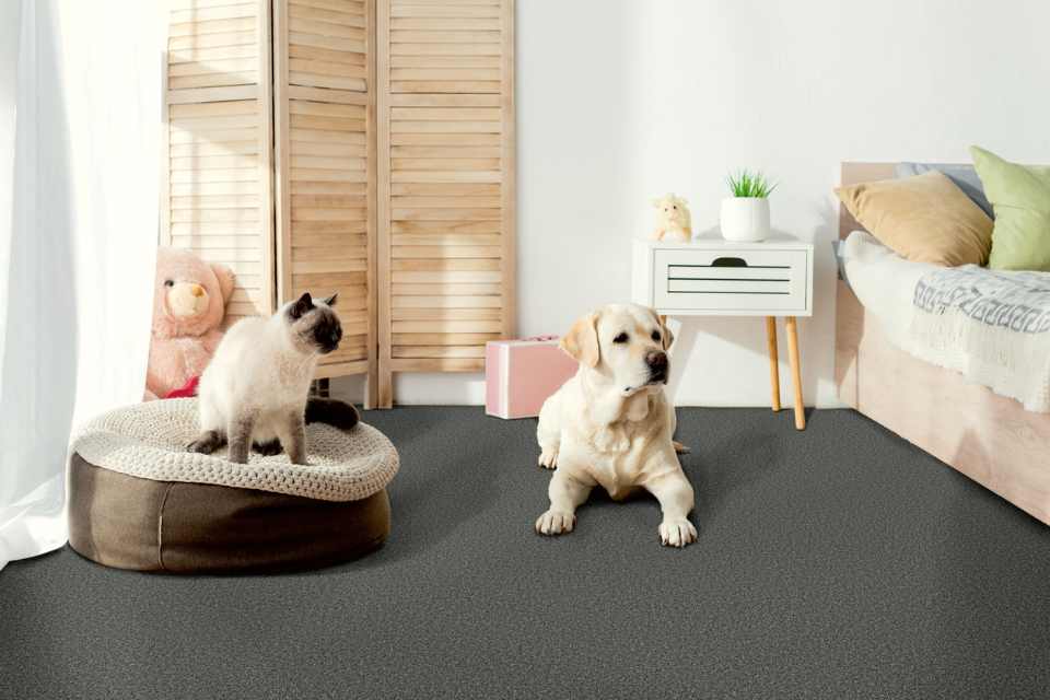 waterproof carpet in kids bedroom with modern pink accents